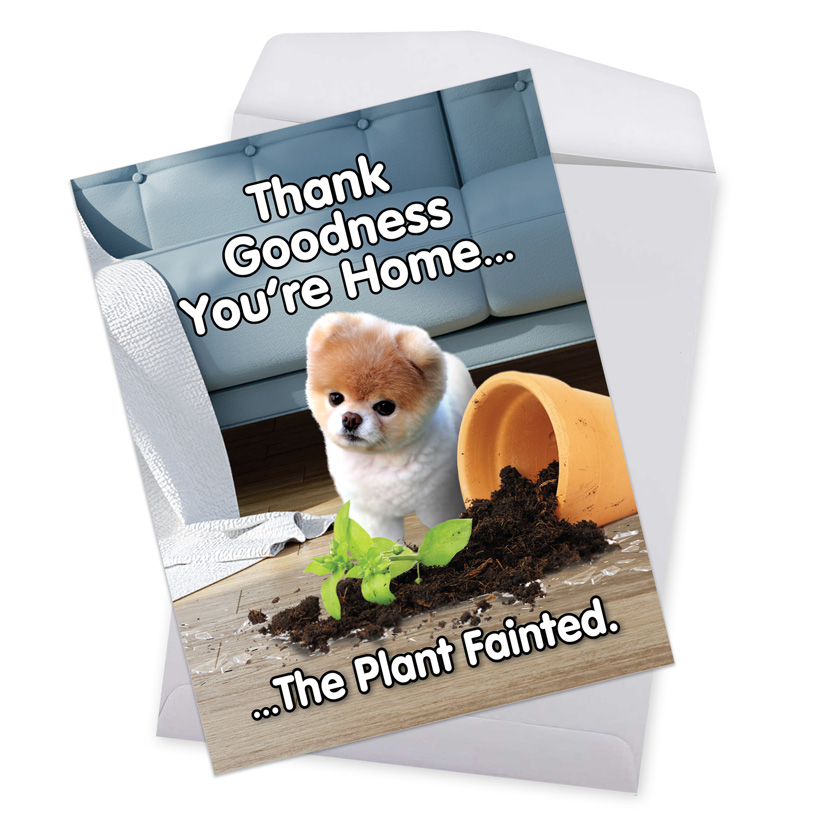 The Best Card Company Geburtstagskarte „Boo’s Plant Fainted“ – Witzig Und Ungewöhnlich