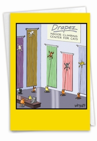 Cat Climbing Center Card