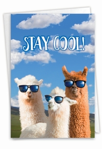 Cool Llamas - Congrats Card