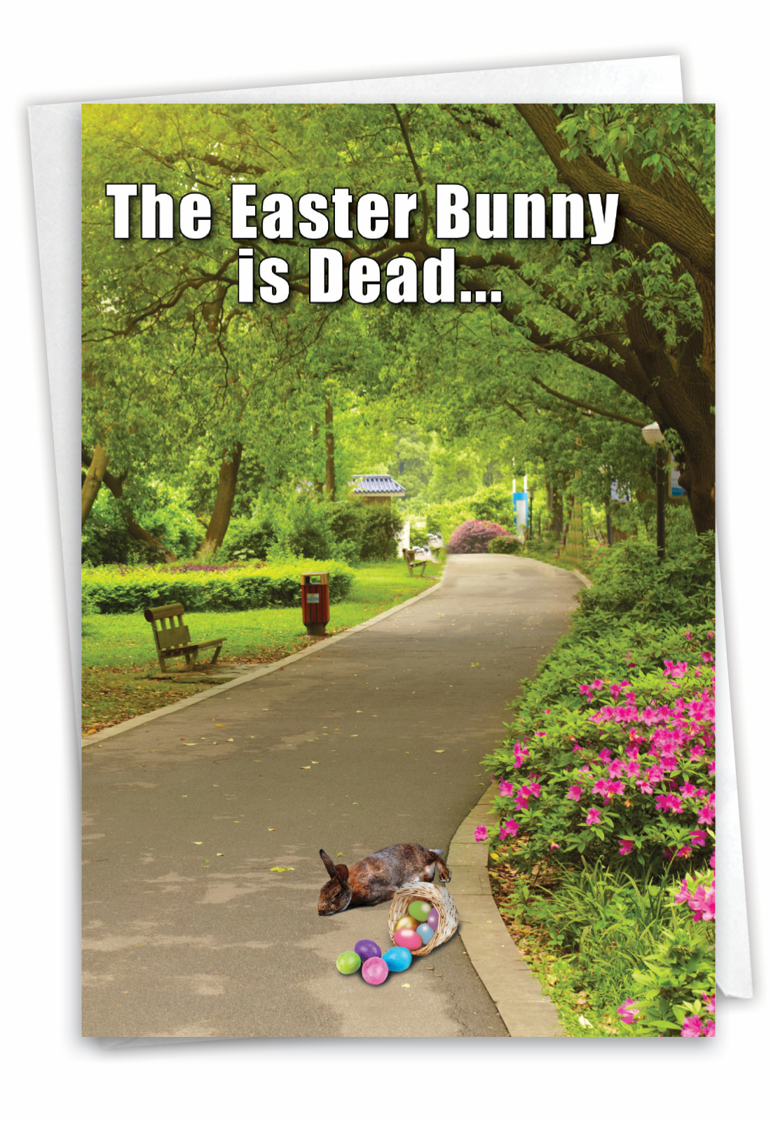 Easter Bunny Dead Funny Easter Card Easter Bunny Dead Card 221