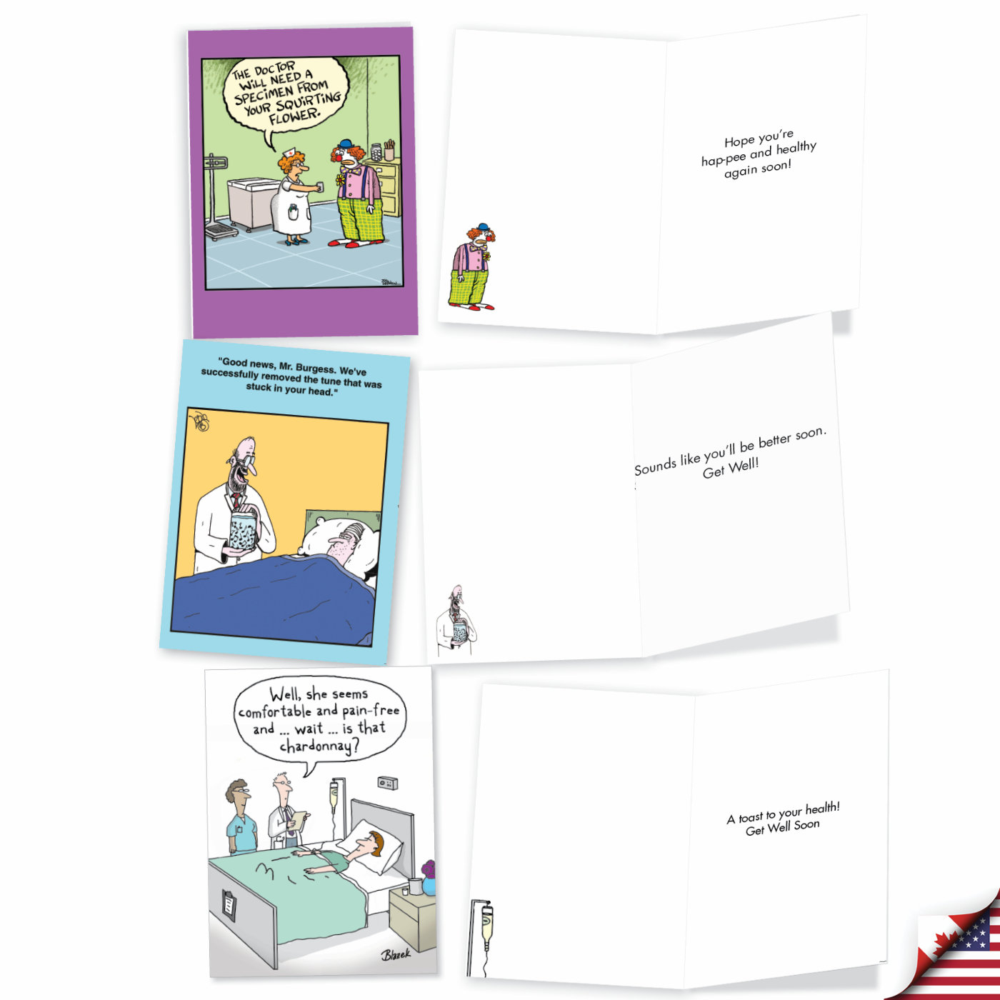 Doctor's Orders Funny Get Well Assorted Set of 10 Cards Birds