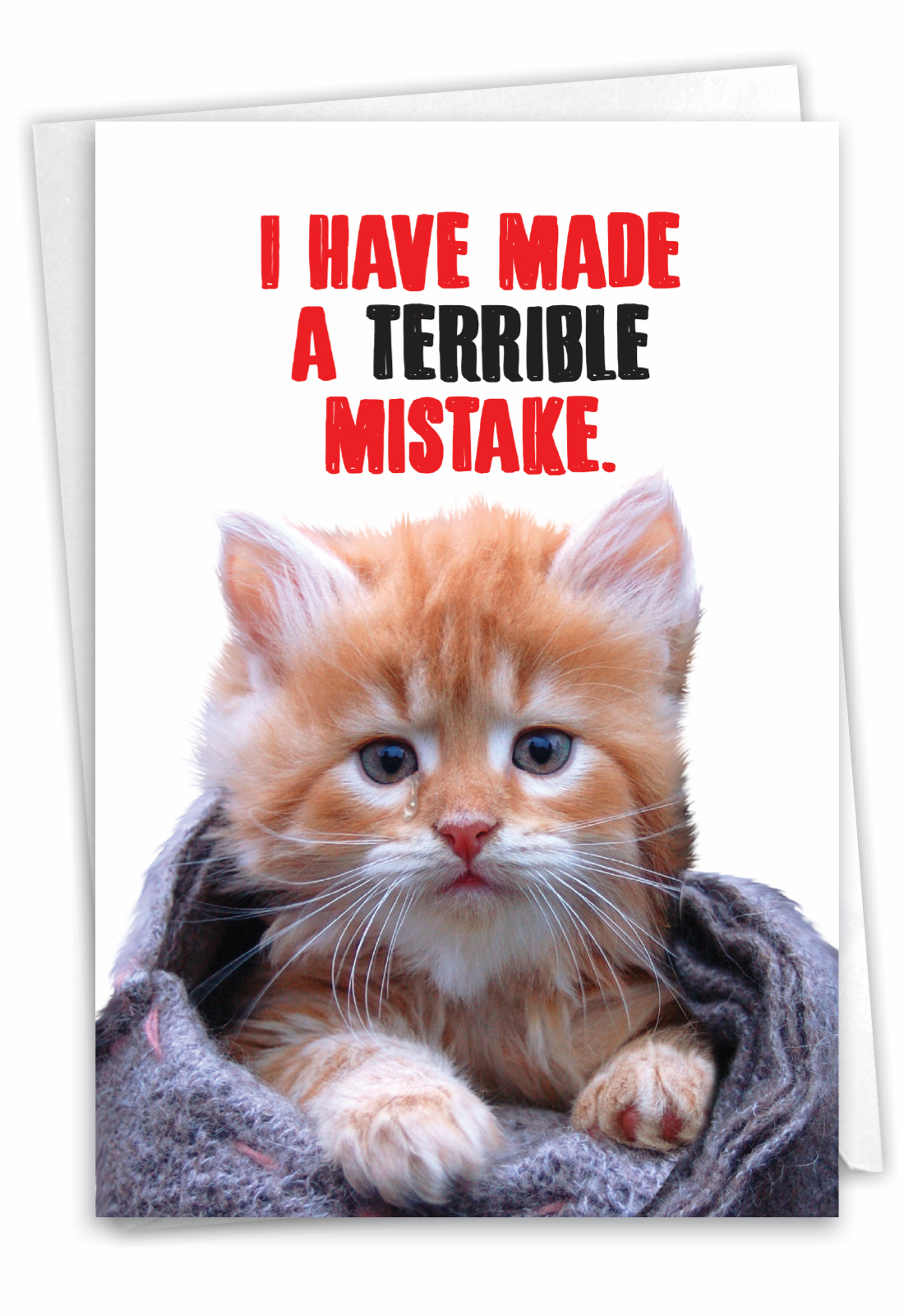 Cat Terrible Mistake Funny Sorry Greeting Card