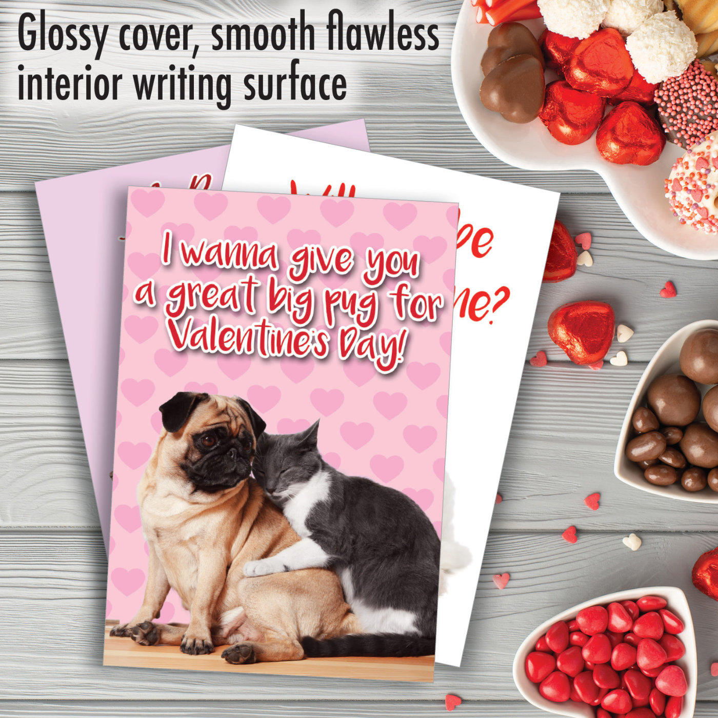 Lucky Dogs Humor Valentine's Day Variety Pack of 3 Cards