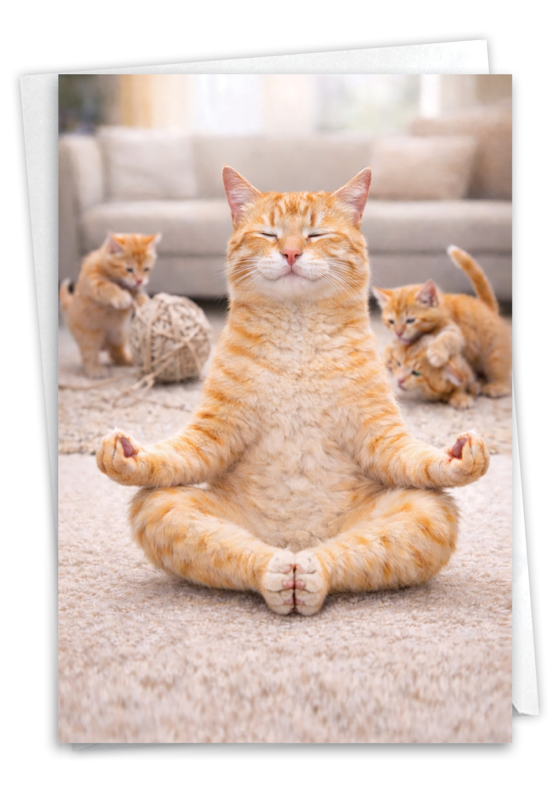 Humorous Mother's Day Card By John Lund From NobleWorksCards.com - Zen Cat