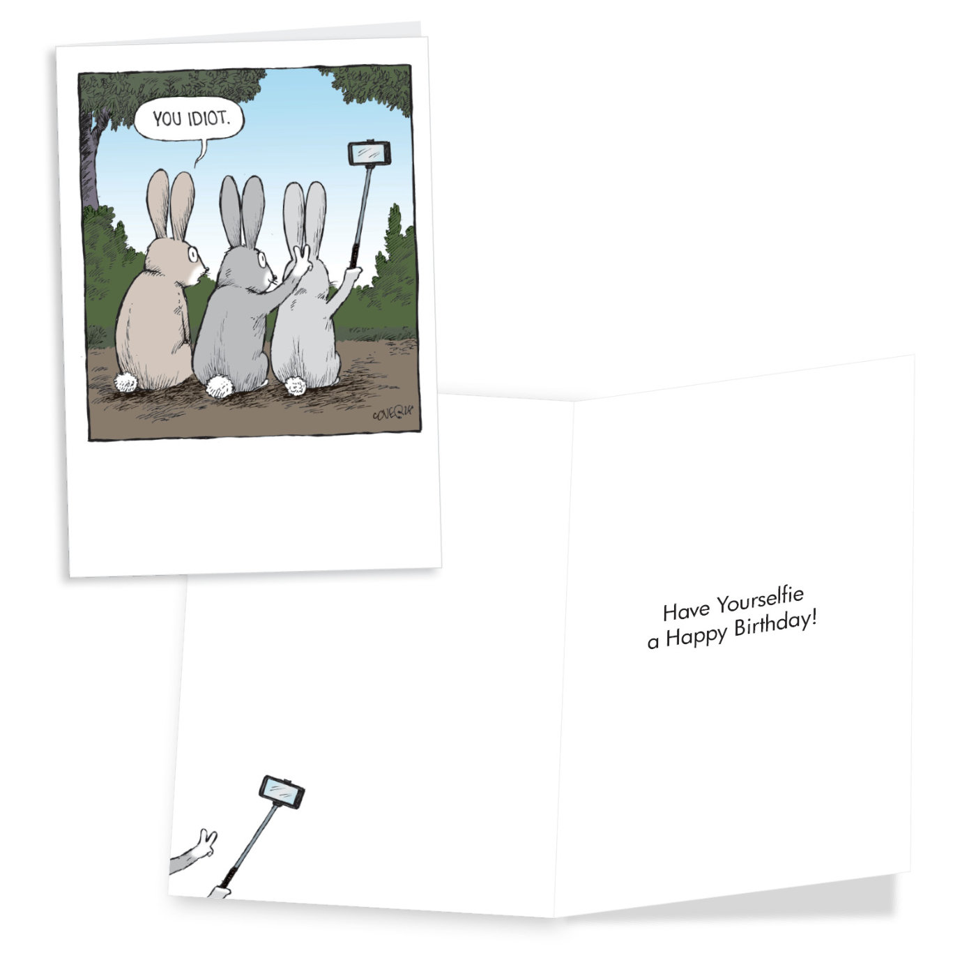 Animals CrackUps Funny Birthday Variety Pack of 3 Cards Bunnies