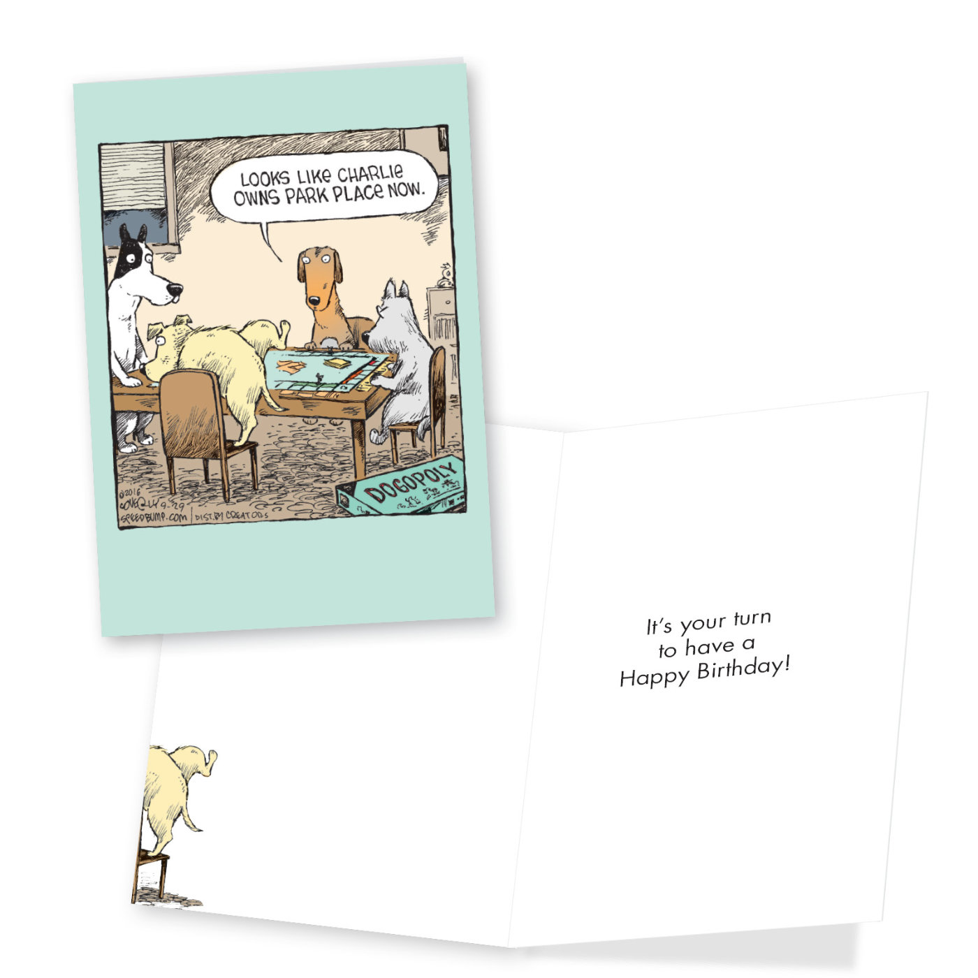 Animals CrackUps Funny Birthday Variety Pack of 3 Cards Bunnies