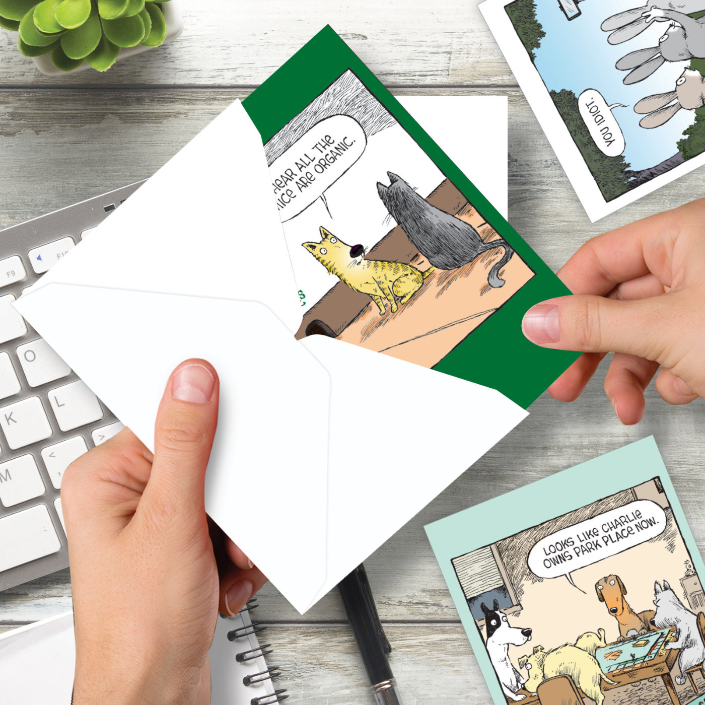 Animals CrackUps Funny Birthday Variety Pack of 3 Cards Bunnies