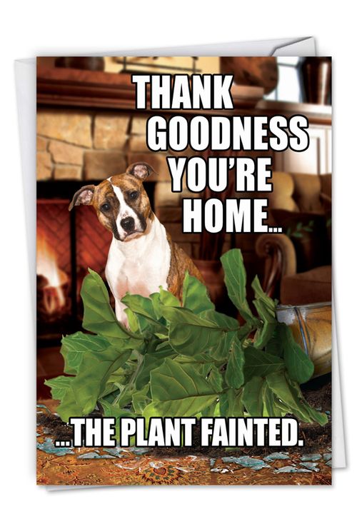 The Best Card Company Geburtstagskarte „Boo’s Plant Fainted“ – Witzig Und Ungewöhnlich