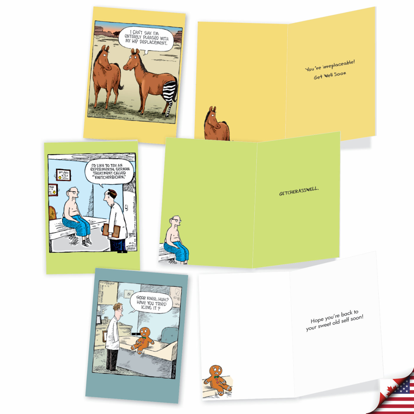 Sick Jokes Humor Get Well Assorted Set of 10 Cards Hedgehog, Horse