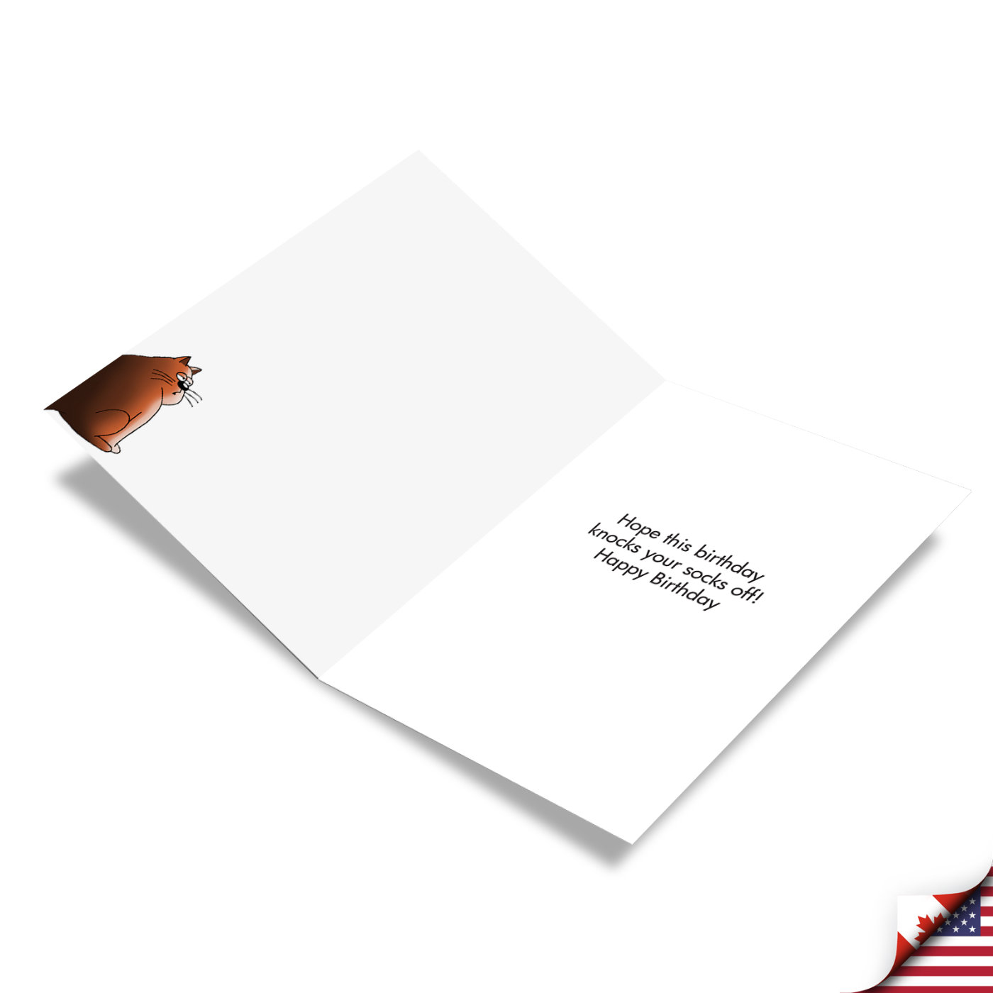 Special Occasion Sex: Funny Birthday Card