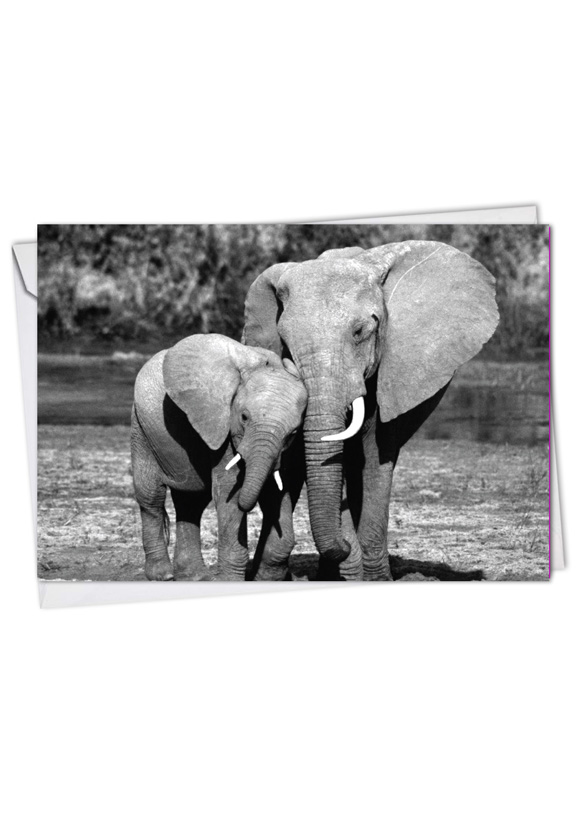 Trunks Of Love Stylish Mother's Day Paper Card